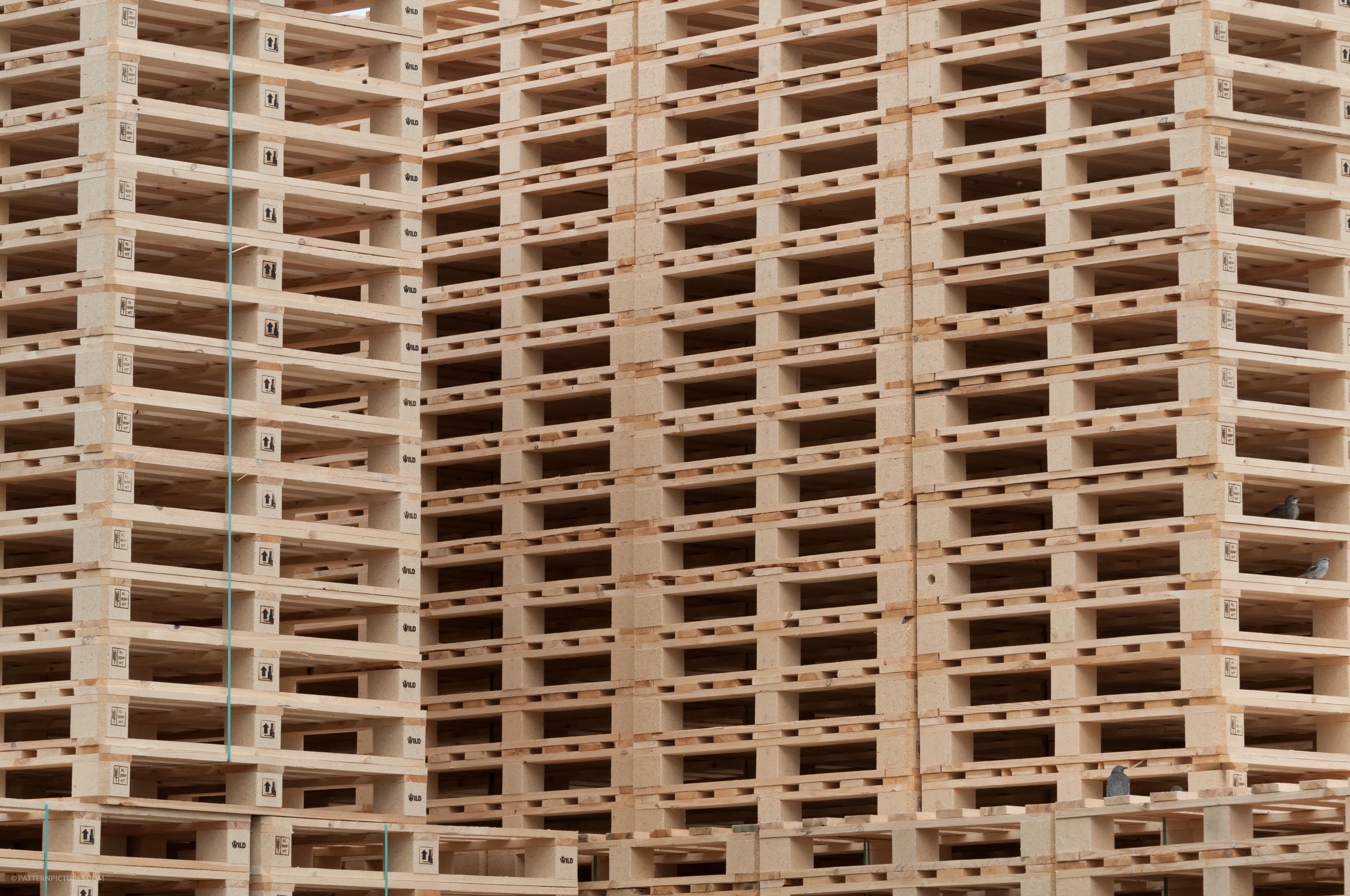 Export Wooden Pallet